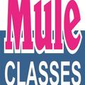 Mule Classes
