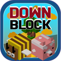 Down Block