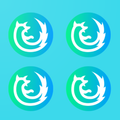 Multi Browser Pro