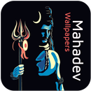 Mahadev Wallpapers - Shivji Wallpapers APK