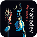 Mahadev Wallpapers - Shivji Wallpapers-APK