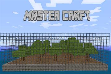 Multicraft poster