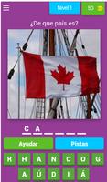 Quiz de banderas Poster