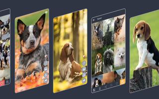 Dogs Wallpapers ảnh chụp màn hình 3