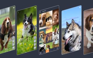 Dogs Wallpapers capture d'écran 1