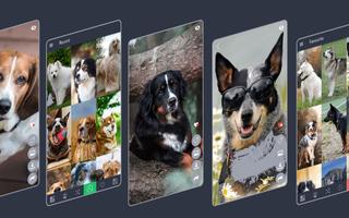 Dogs Wallpapers 스크린샷 2