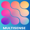 MultiSense FFMS आइकन