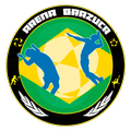 Arena Brazuca