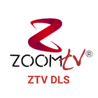 ZTV DLS icône