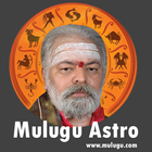 Mulugu Astro - Panchangam 2020 أيقونة