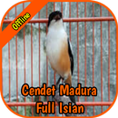 Cendet Madura Full Isian APK