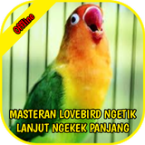 Lovebird Ngetik Lanjut Ngekek biểu tượng