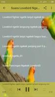 Lovebird Ngetik Lanjut Ngekek screenshot 2
