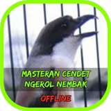 Masteran Cendet Ngerol Nembak biểu tượng