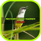 Masteran Ciblek Ngebren أيقونة