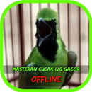 Masteran Cucak Ijo Gacor APK