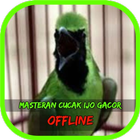 Masteran Cucak Ijo Gacor Zeichen