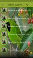 Masteran Cucak Ijo Gacor Screenshot 1
