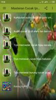 Masteran Cucak Ijo Gacor Screenshot 2