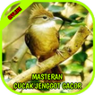 Masteran Cucak Jenggot Gacor Terbaru Offline