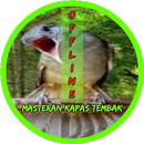 Masteran Kapas Tembak Terbaru Offline APK