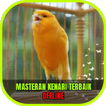 Masteran Kenari Isian