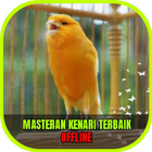 Masteran Kenari Isian icon