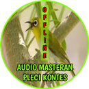 Masteran Pleci Kontes Terbaru Offline APK