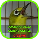 Masteran Pleci Ngalas Ngerol Terbaru Offline APK