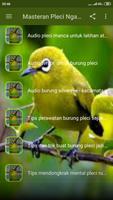 Masteran Pleci Ngalas Ngerol ảnh chụp màn hình 2