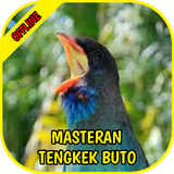 Masteran Tengkek Buto أيقونة