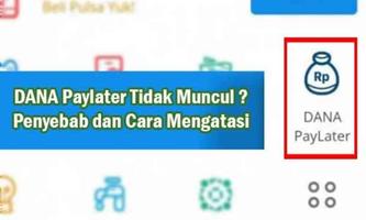 Cara Daftar Dana Paylater скриншот 1