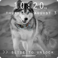 Husky Lock Screen