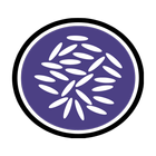ikon Pottageofhealth - Health News