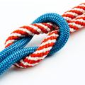 Knots Guide