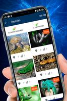 Fondos para WhatsApp تصوير الشاشة 1