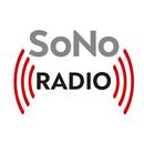 SoNo Radio APK
