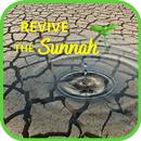 Revive The Sunnah APK