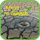 Revive The Sunnah Zeichen