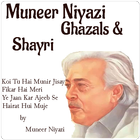 Muneer Niyazi-icoon