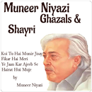 Muneer Niyazi Ghazals/Shayri in Hindi/Urdu APK