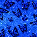 APK Butterfly Wallpaper