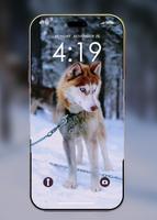 狼壁纸HD 截图 1