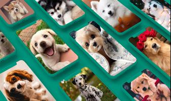 Poster Puppy & Dog Wallpapers Offline