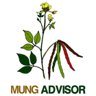 Mung Advisor icône