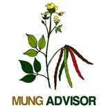 Mung Advisor