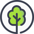 Pando