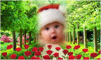 Garden Photo Frames ภาพหน้าจอ 2