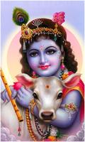 Lord Bal Krishna Wallpapers Ekran Görüntüsü 3