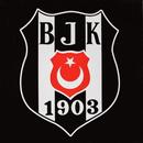 Besiktas Wallpaper HD-APK